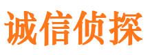 从江市调查公司